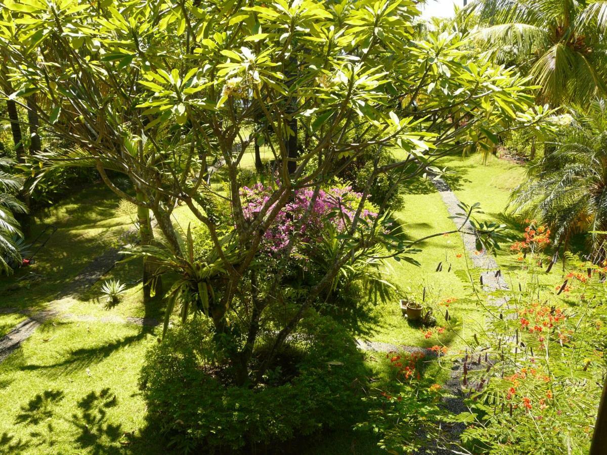 Bali Sandat Tejakula Exteriör bild